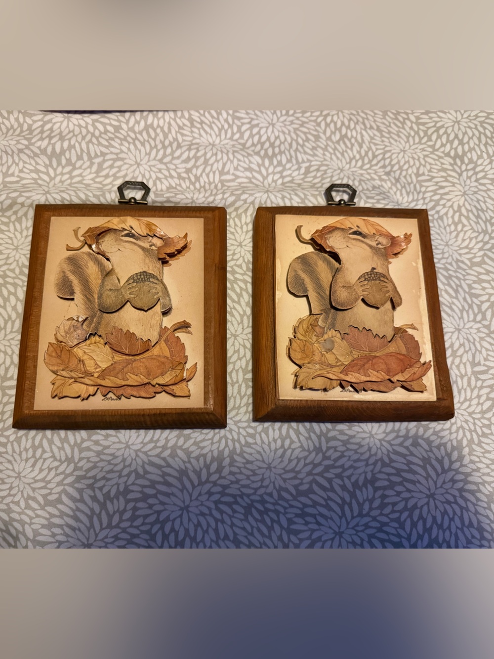 Source Unknown Brown & Beige Woodland Squirrel Pair Framed Art